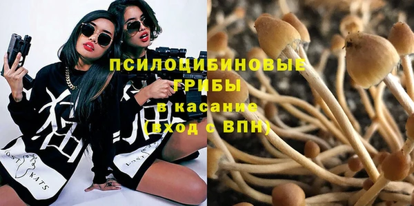 сатива Балабаново
