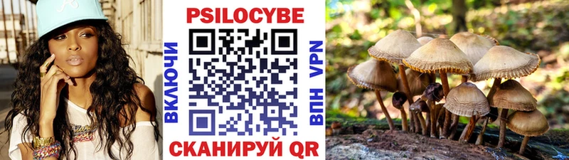 Галлюциногенные грибы мицелий  как найти   Бирюсинск 
